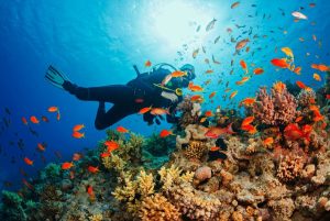 Diving: Exploring the Wonders of the Underwater World